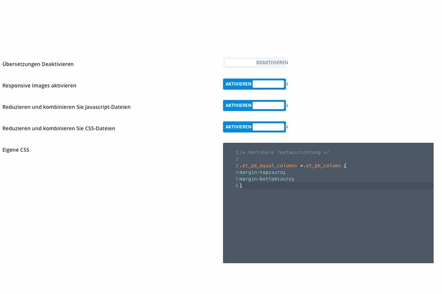 CSS-Code-Schnipsel in die Theme-Optionen eingeben