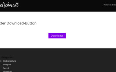 Divi  – Button für direkte Downloads