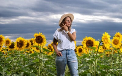 Shooting im Sonnenblumenfeld