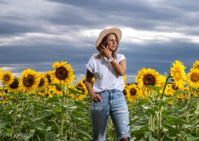 Vanessa und die Sonnenblumen