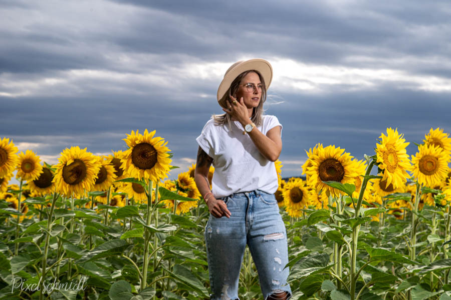 Shooting im Sonnenblumenfeld