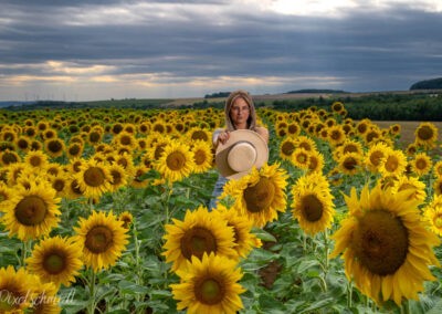 Vanessa und die Sonnenblumen