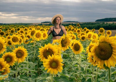 Shooting mit Vanessa im Sonnenblumenfeld