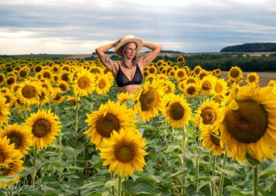 Shooting im Sonnenblumenfeld